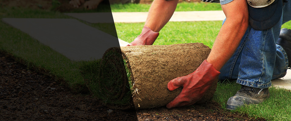 North Reading Landscapers